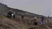 Students from Buxton and Leek College have planted trees at two sites