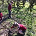 Children at St Bartholomew’s Primary School planting in their nature area.