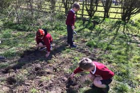 Children at St Bartholomew’s Primary School planting in their nature area.