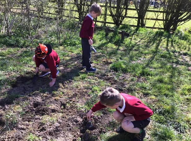 Children at St Bartholomew’s Primary School planting in their nature area.