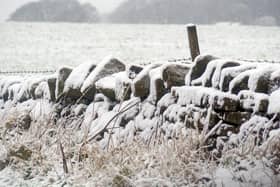 Take care out there. Picture by Brian Eyre.