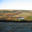 Tree felling will begin soon in Goyt Valley in the Peak District.