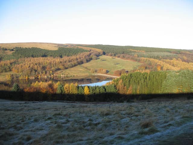 Tree felling will begin soon in Goyt Valley in the Peak District.