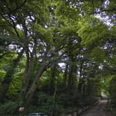 The section of Station Road between New Mills Central and the car parking area at the foot of the hill, seen here in 2016. (Image: Google)