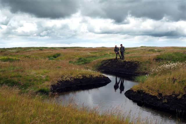 The National Trust has been supporting hen harrier recovery as part of wider conservation efforts to restore and protect the moors' biodiversity.