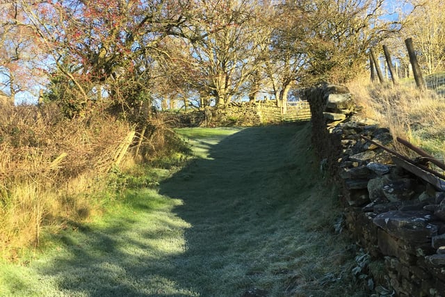 ​Kathy MacMillan's lovely photo shows long shadows with frost behind the drystone wall, near Malcoff, Chapel-en-le-Frith.