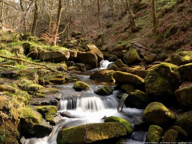 Arriving at Grindleford Station, walkers can follow Padley Gorge up onto the moors, before taking in the scenery at Surprise View and looping back round to the station.