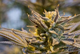 Jade Bloom’s home was found to contain up to £1,250 of the drug in various forms