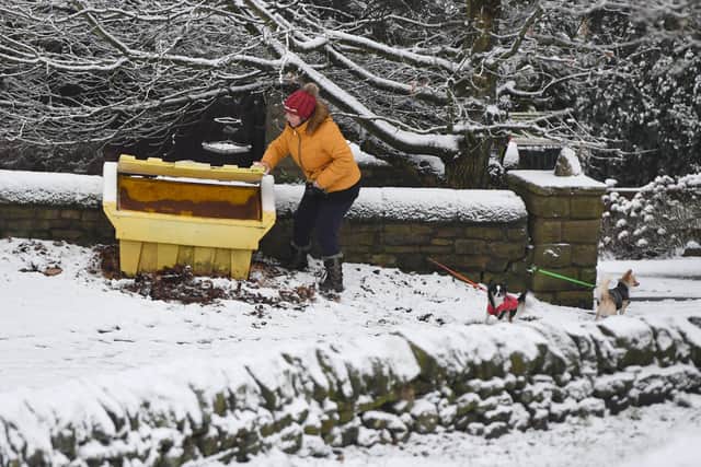 A woman collects grit from a grit bin as she walks her dogs in Tintwistle. (Photo by Anthony Devlin/Getty Images)