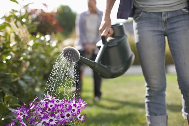 How to keep your garden healthy during hotter summers