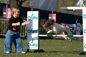 Ellie Simmonds has called for greater coverage of parasport outside Paralympic years in order to grow the sport. She is pictured here as part of her presenting role at Crufts.