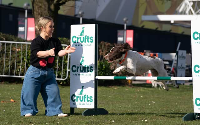 Ellie Simmonds has called for greater coverage of parasport outside Paralympic years in order to grow the sport. She is pictured here as part of her presenting role at Crufts.