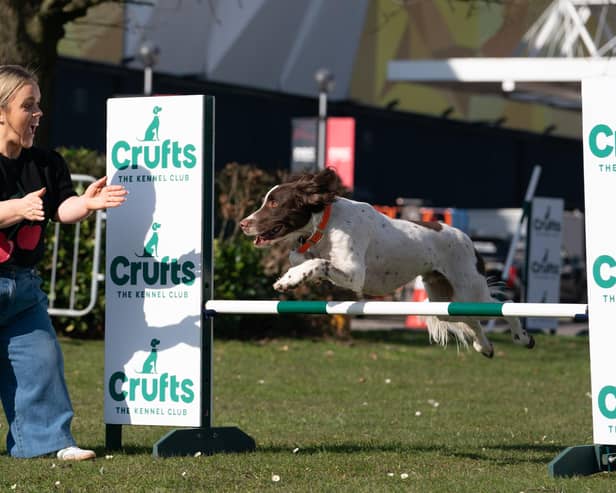 Ellie Simmonds has called for greater coverage of parasport outside Paralympic years in order to grow the sport. She is pictured here as part of her presenting role at Crufts.