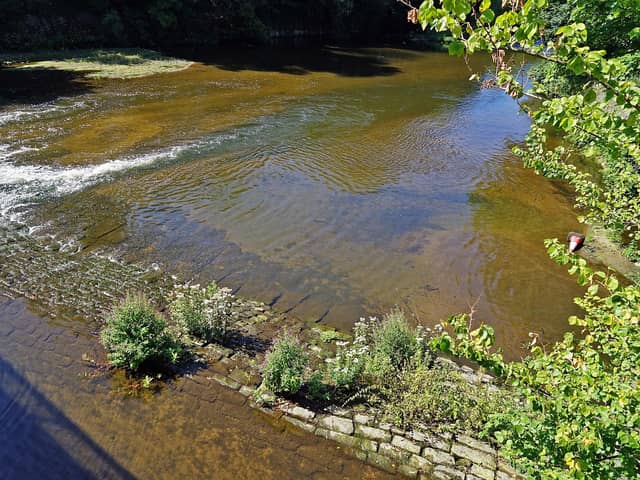 Water levels are low in the River Derwent, near Belper.