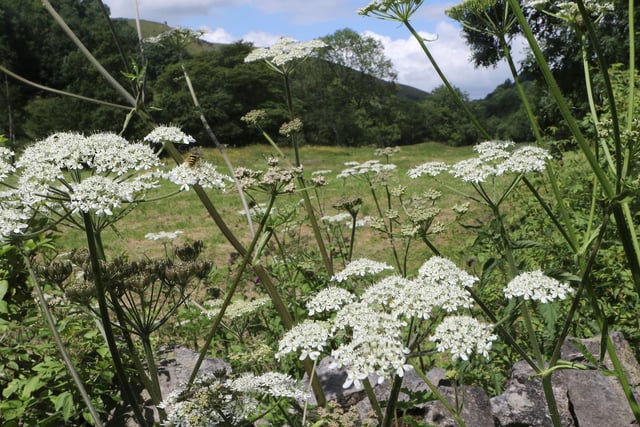Peak District views, Monsal Dale