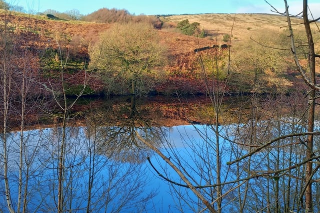 A peaceful scene in the Goyt Valley is captured here in fine style by this photo from Meg Pritchard.