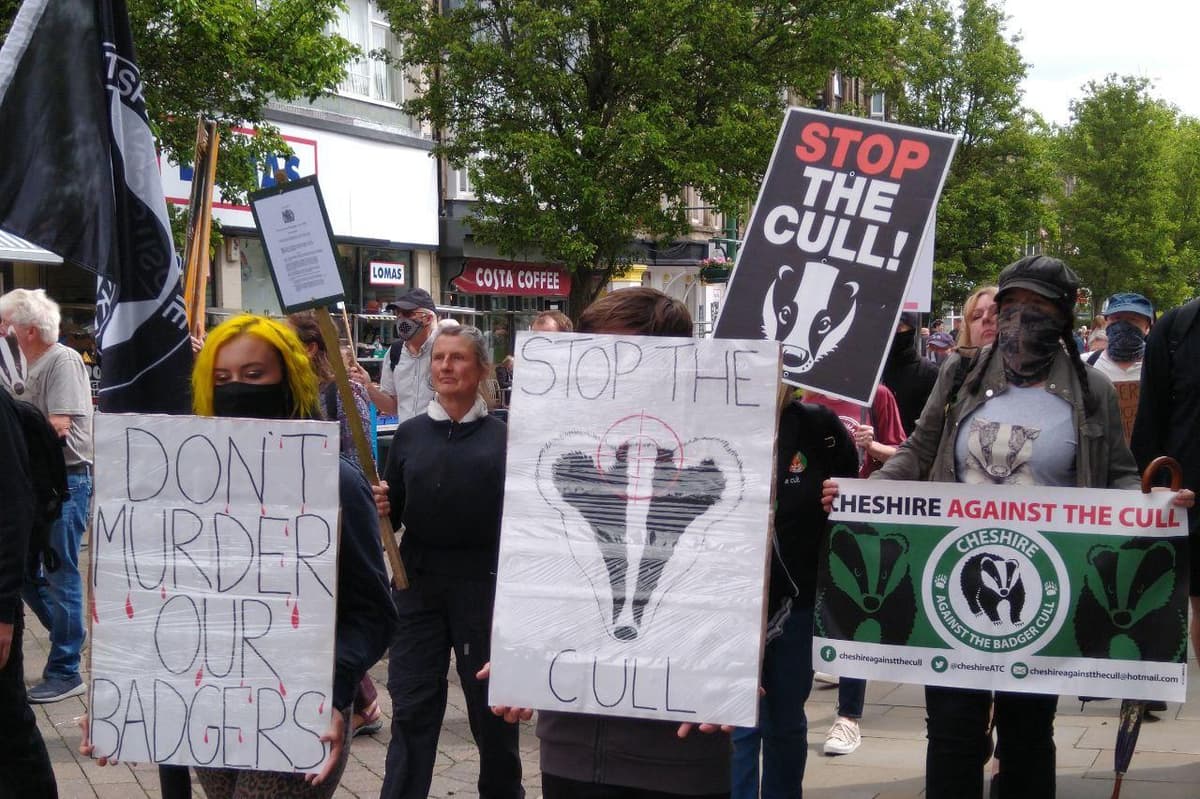 Animal rights activists march in Buxton to protest against Derbyshire  badger cull | Buxton Advertiser