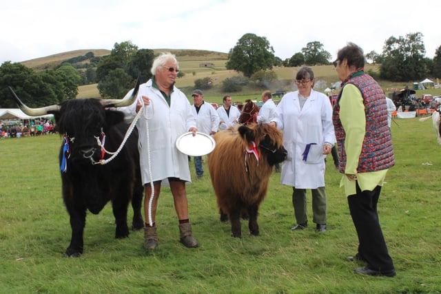 Champion Highland Betany Linda 4th of Thornythwaite and her calf with exhibitor Michael Burgess.