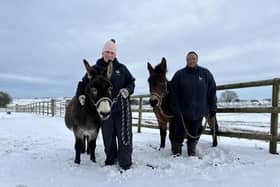 Rescue donkeys at Buxton sanctuary given peppermint tea to stay warm in snow. Photo The Donkey Sanctuary