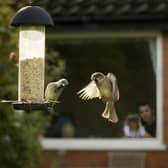 The RSPB are calling on Derbyshire residents to take part in the Big Garden Birdwatch on January 29 to 31.