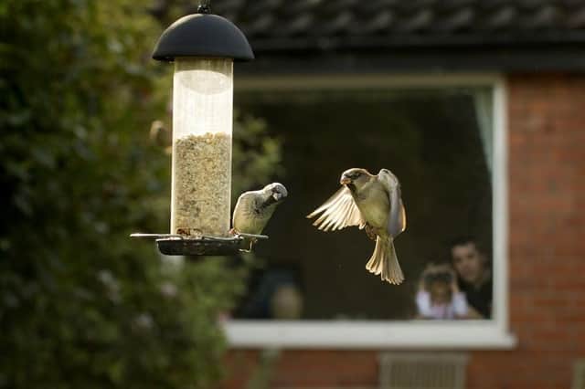 The RSPB are calling on Derbyshire residents to take part in the Big Garden Birdwatch on January 29 to 31.