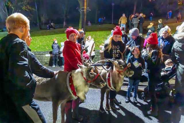 Reindeer proved a popular attraction at the light switch on. Photo David Dukesell