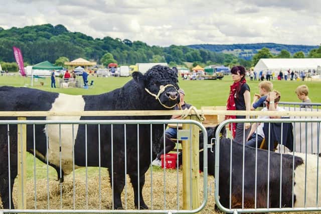 Meet the livestock at Bakewell Country Fair.