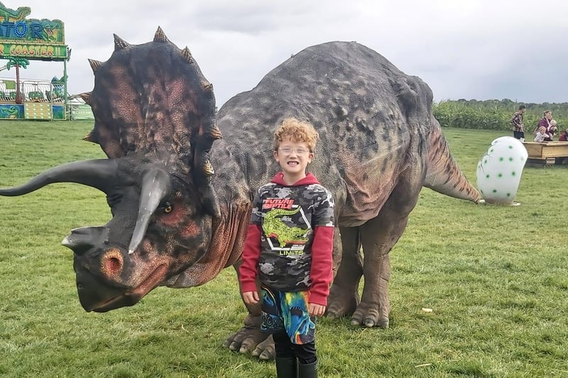 Jett at Spilmans Farm Dinosaur Adventure.
