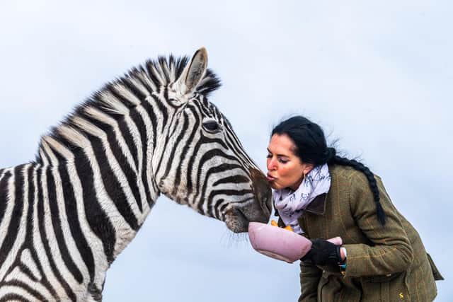 Ziggy the zebra, pictured with owner Bev Griffiths.