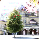 Buxton International Festival has been named as one of the top 50 places to see music worldwide this year. Pic Jason Chadwick