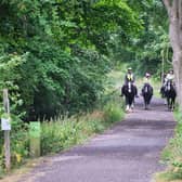 Tissington Trail users are asked to check the website for winter closures whilst tree felling takes place. Photographer: Daniel Wildey.