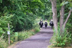 Tissington Trail users are asked to check the website for winter closures whilst tree felling takes place. Photographer: Daniel Wildey.