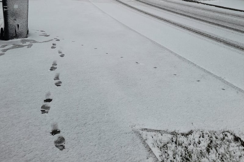 Footprints in the snow in Fairfield. Photo Samantha Warrington-Lacey