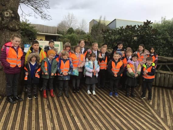 St Anne's pupils at Chester Zoo. Photo submitted
