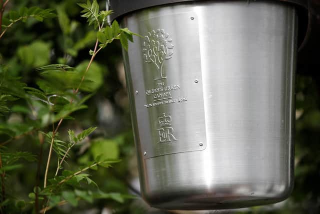 One of the 350 plant pots will be presented to Buxton Mountain Rescue along with another sapling to be planted locally.  (Photo by Peter Nicholls - WPA Pool/Getty Images)