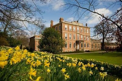 Springtime daffodils blooming in the gardens of Middlethorpe Hall & Spa. Image: Bailey Cooper Photography