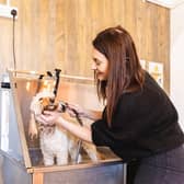 Bike & Boot's new dog-friendly Peak District hotel near Bamford, not far from Sheffield, is due to open in May 2023. It will include a free professional dog grooming area