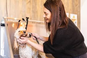 Bike & Boot's new dog-friendly Peak District hotel near Bamford, not far from Sheffield, is due to open in May 2023. It will include a free professional dog grooming area