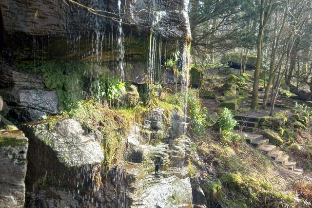 An invigorating photo from Derek Warrington shows this little waterfall at Stand Wood, Chatsworth.