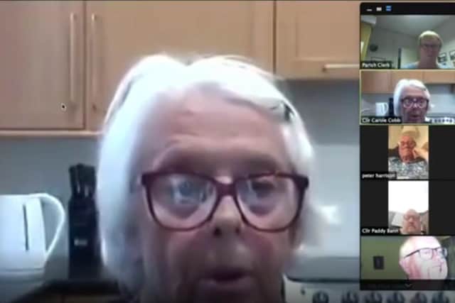 Councillor Carole Cobb during the Zoom meeting