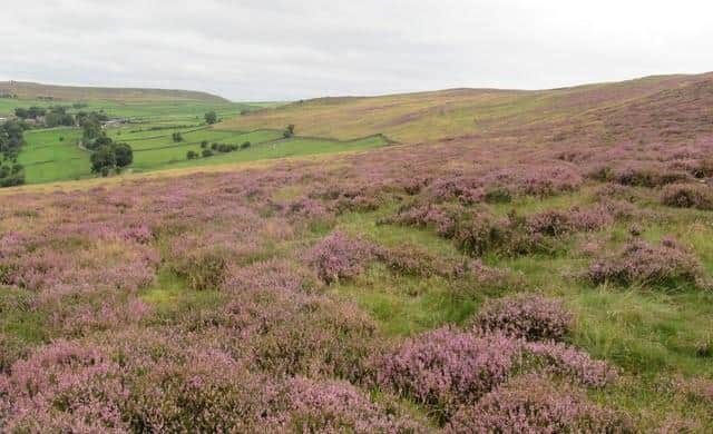 The landscape of Abney Moor has been transformed over the past decade.