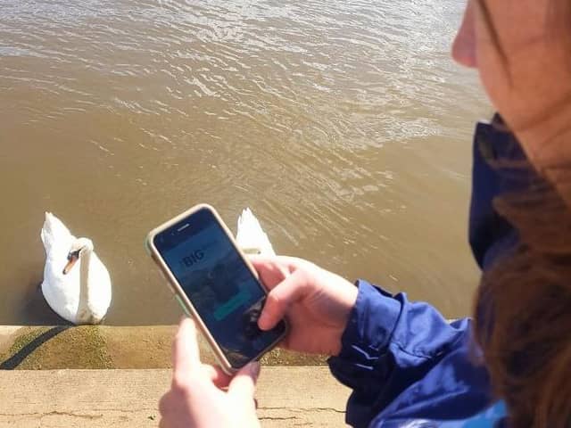 Spend 15 minutes by your local river and fill in the survey