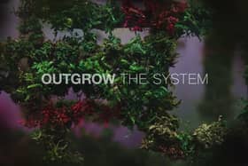 Outgrow the System film