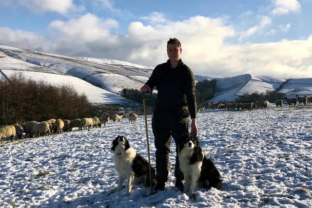 Goyt Valley farmer Sam Bolton with Roy and Rascal and part of his flock.