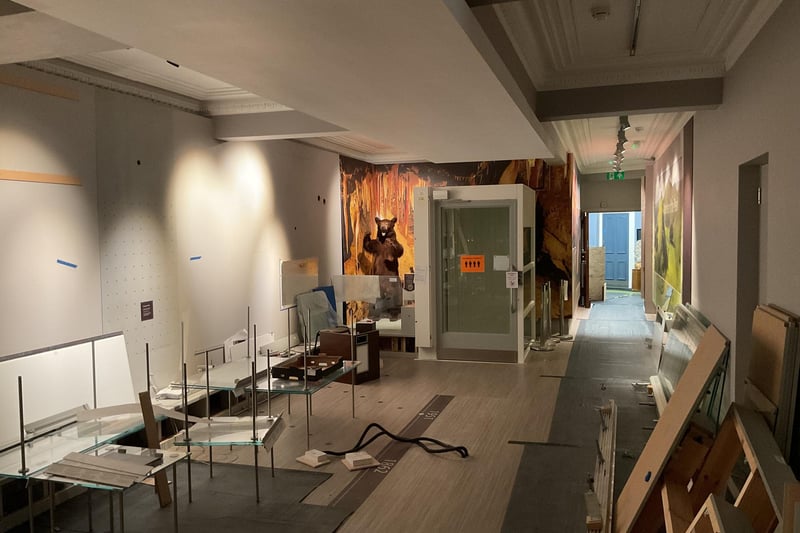 Was it even a trip to the museum if you didn't get your picture taken with the bear? Photo SDL Property Auctions
