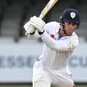 Luis Reece hit a half century for Derbyshire but it was in vain as Lancashire won well.