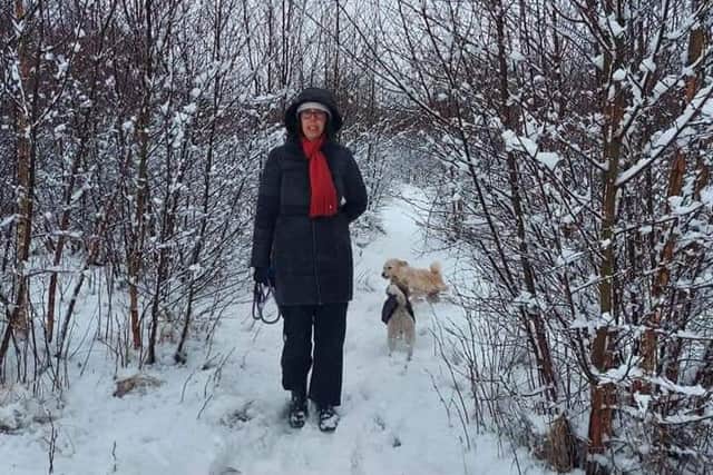 Jackie Palmer walking at Hogshaw with dogs Mabel and Rosie