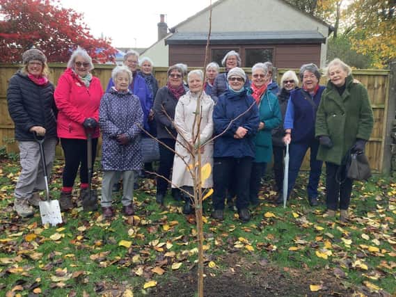 Burbage WI with the flowering cherry planted in Jubilee Gardens to celebrate the platinum jubilee of our late Queen