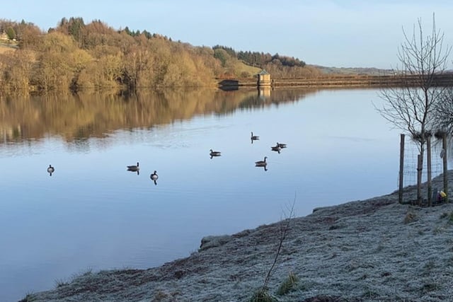 ​The birds are out in force during sunrise at Fernilee Reservoir in this fine photo by Simon Sharp.