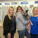 From left Scrivens staff Abbie Kidd, Ruth Oldfield plus dog Daisy and Melanie Page